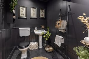 Photo 11- click for photo gallery